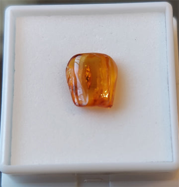 Amber Insect  - -  Size  -  Var Rect - 8x6       Weight Carat  -  1.93